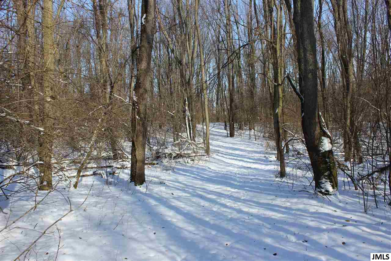 8654 Reynolds Road Horton, MI 49246 - Photo 13 of 13 Photo 13