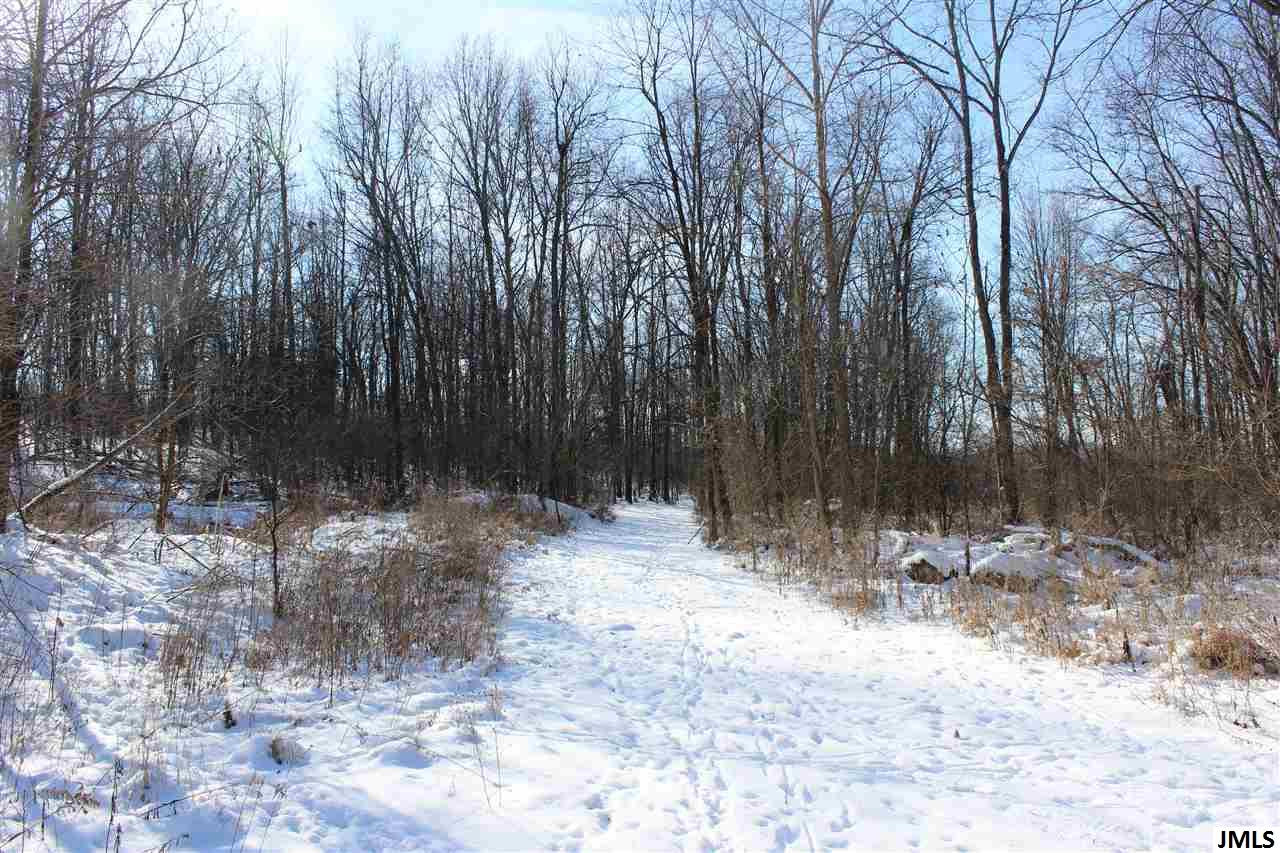 8654 Reynolds Road Horton, MI 49246 - Photo 6 of 13 Photo 6