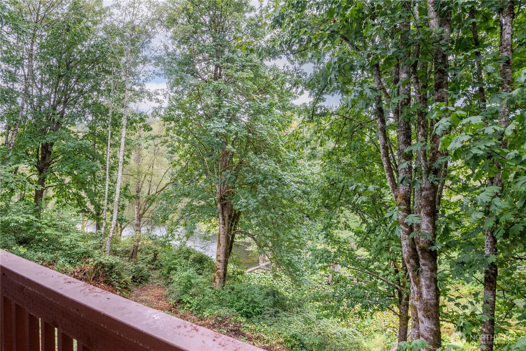 175 Shoreview Drive Kelso, WA 98626 - Photo 25 of 35 a view of a forest from balcony