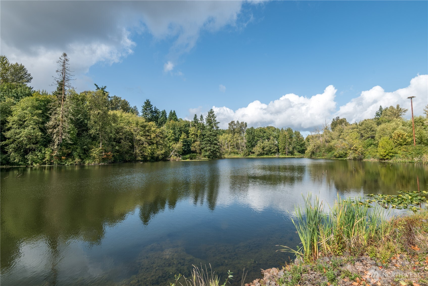 175 Shoreview Drive Kelso, WA 98626 - Photo 27 of 35 a view of a lake next to a building