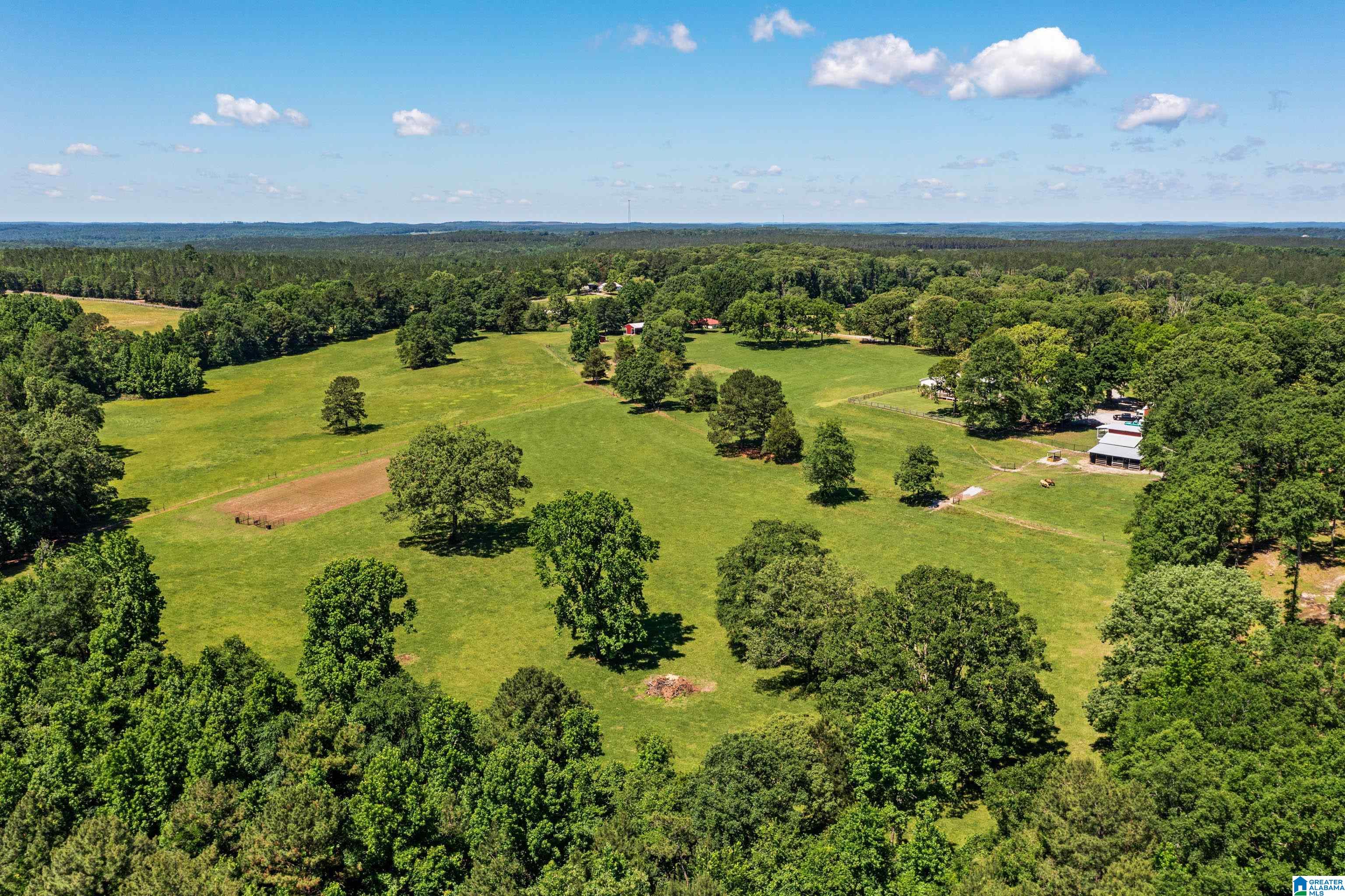 646 Burt Spur Road Brierfield, AL 35035 - Photo 37 of 38