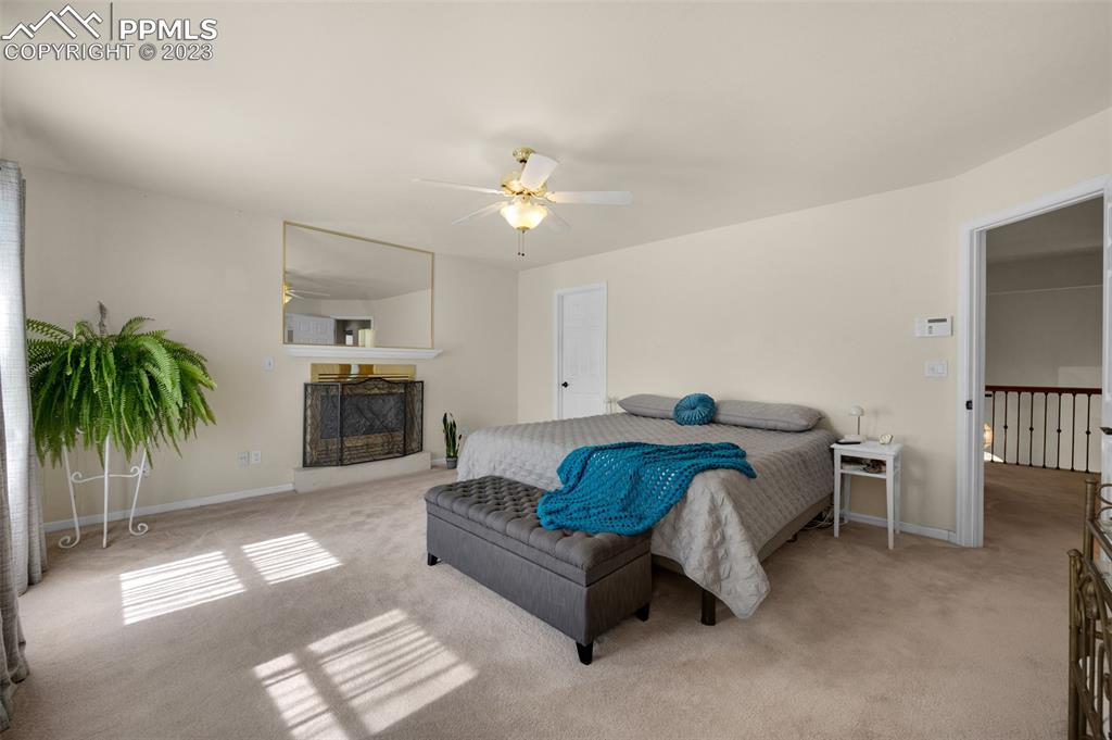 7425 Tobin Road Colorado Springs, CO 80908 - Photo 30 of 49 a living room with furniture and a potted plant