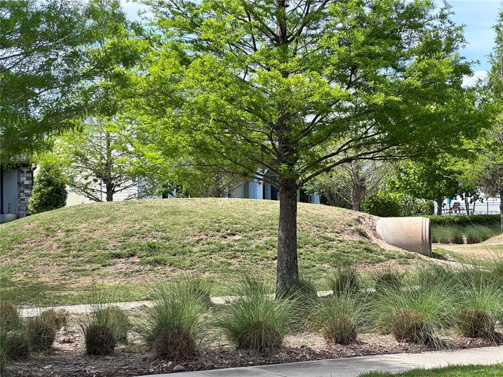 9319 Richet Place Orlando, FL 32827 - Photo 40 of 50 a view of a yard with large trees
