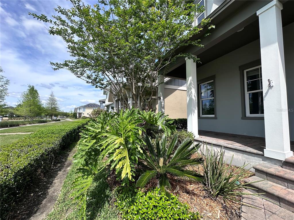 9319 Richet Place Orlando, FL 32827 - Photo 43 of 50 a front view of a house with garden