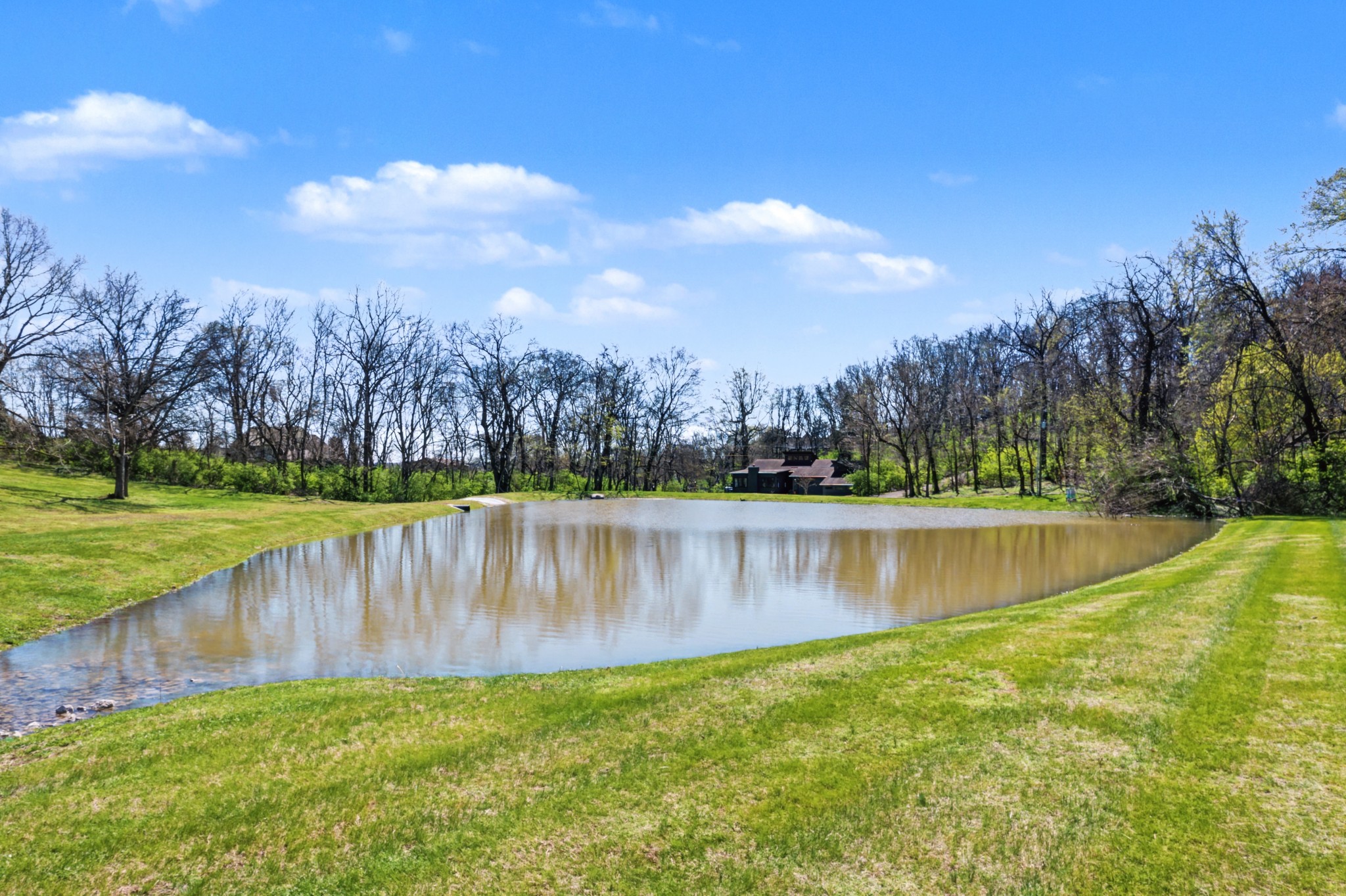 4677 Celeste Lane Franklin, TN 37064 - Photo 6 of 56 a view of a lake with houses in the back