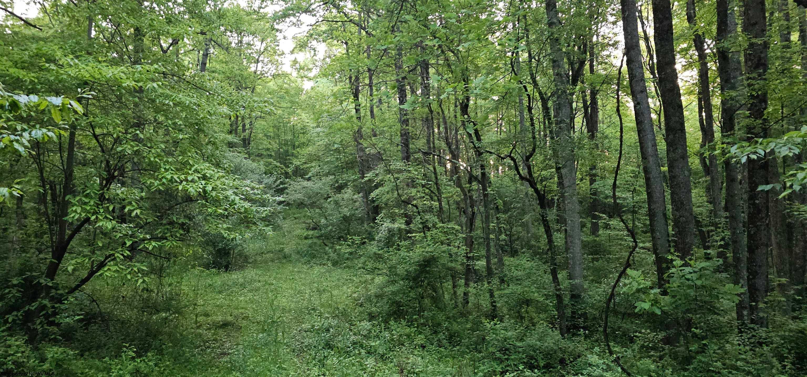 1 John Orr Road Independence, WV 26374 - Photo 6 of 50 Gallery Image 6