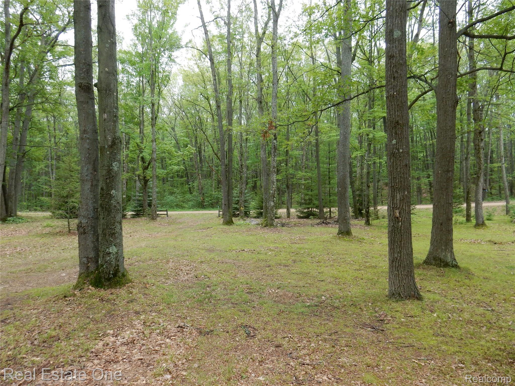 2467 East Monroe Road Harrison, MI 48625 - Photo 29 of 32 DSCN2473.JPG