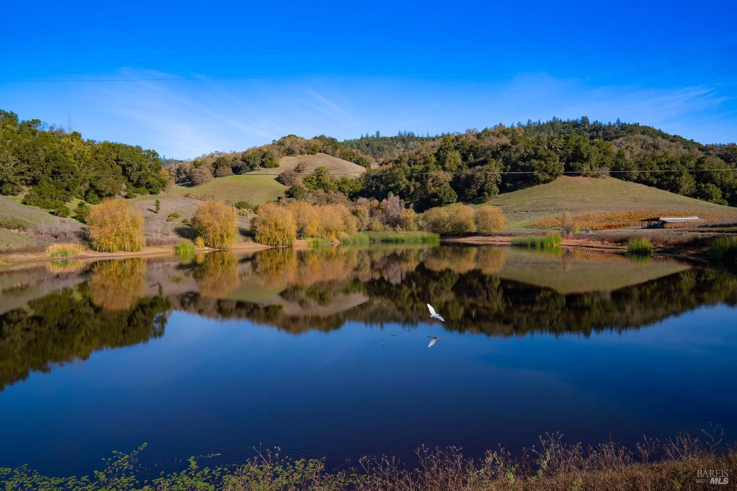 970-960 Conn Valley Road St. Helena, CA 94574 - Photo 41 of 49 Gallery Image 41