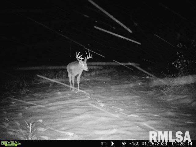 Rr Flower Creek Road Plymouth, IL 62367 - Photo 25 of 30