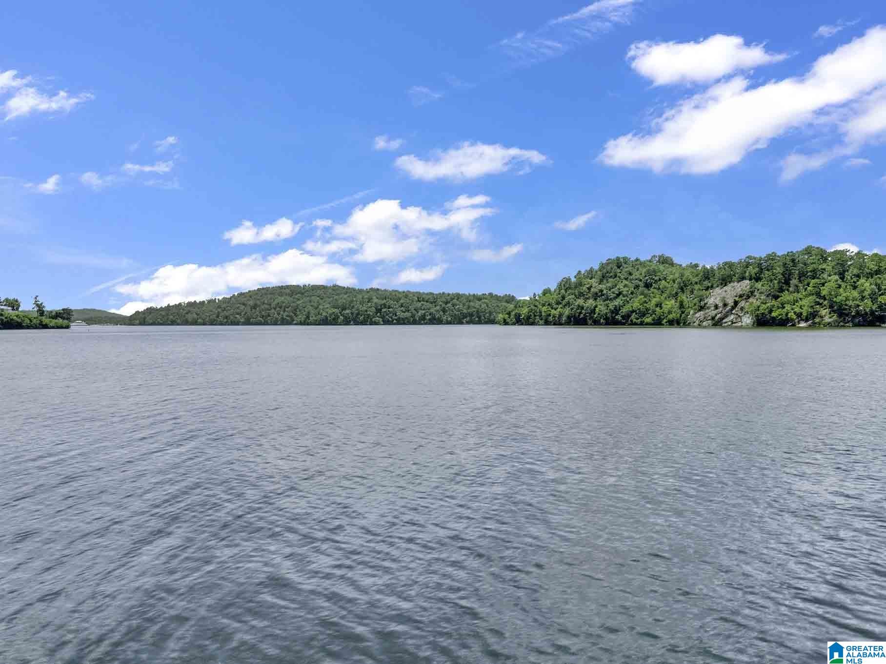 25 Trevas Point Ohatchee, AL 36271 - Photo 89 of 90