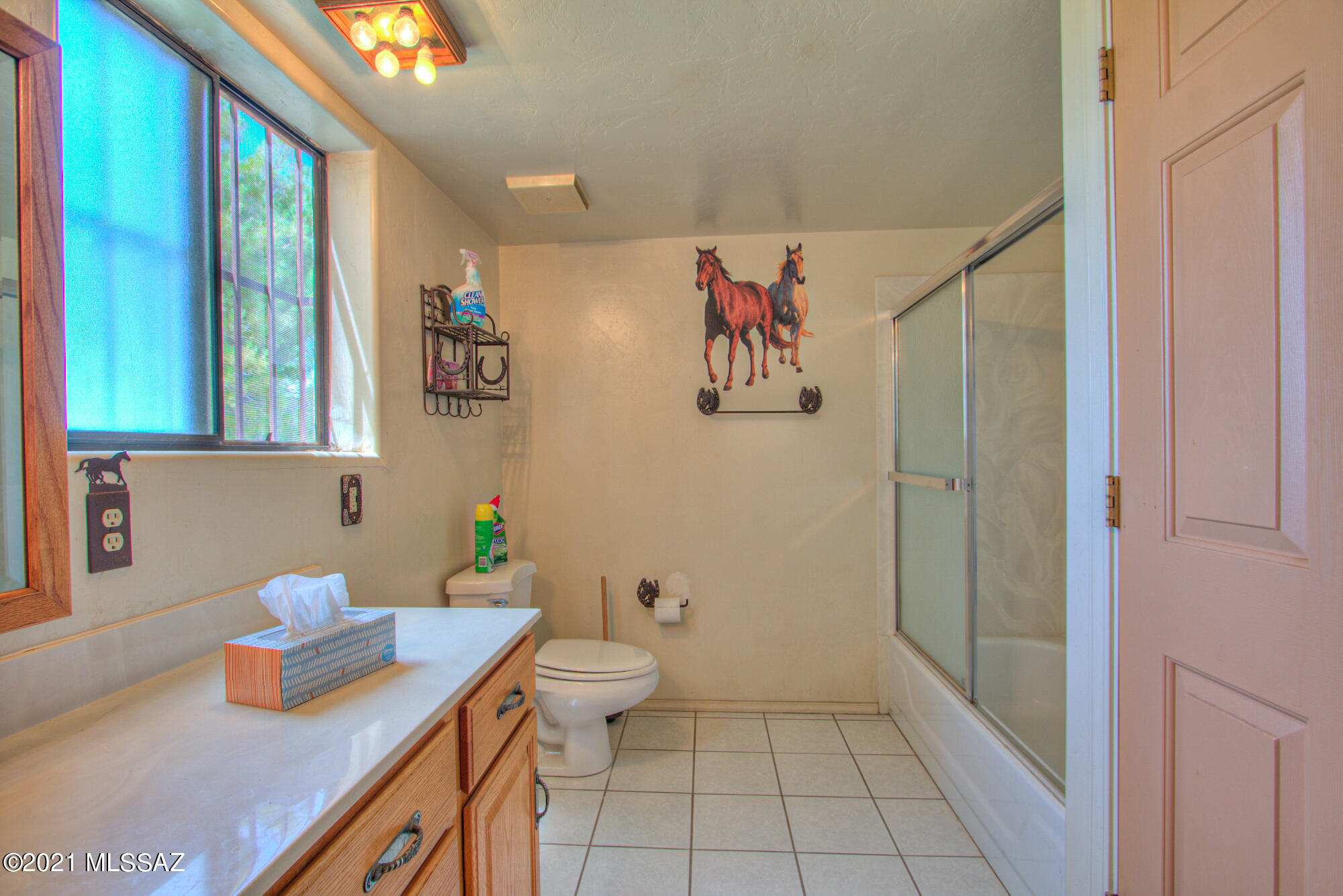 21755 West Dills Best Road Tucson, AZ 85735 - Photo 11 of 34