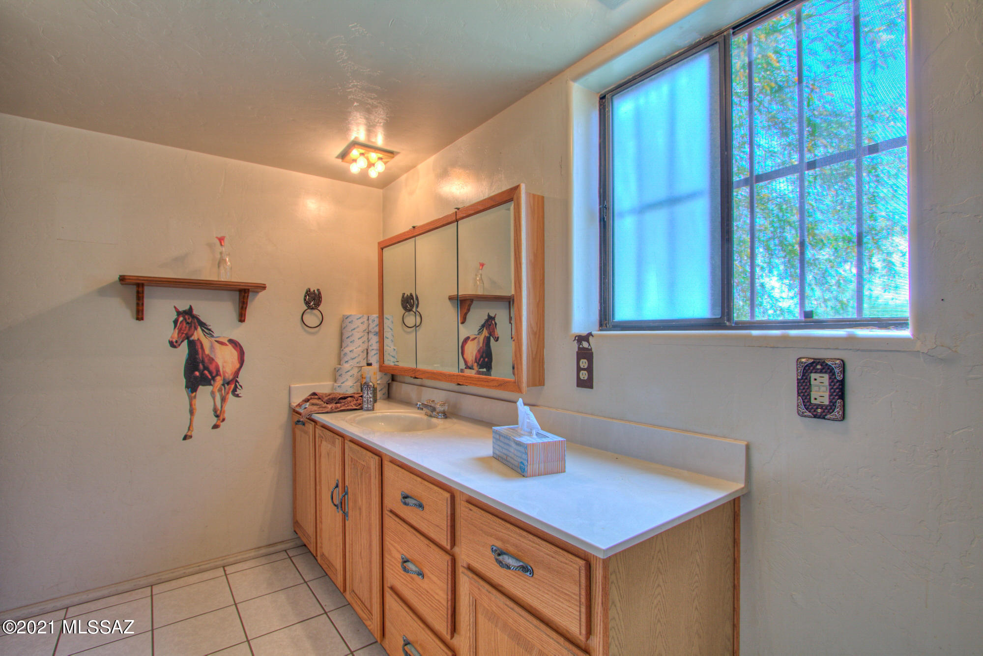 21755 West Dills Best Road Tucson, AZ 85735 - Photo 10 of 34