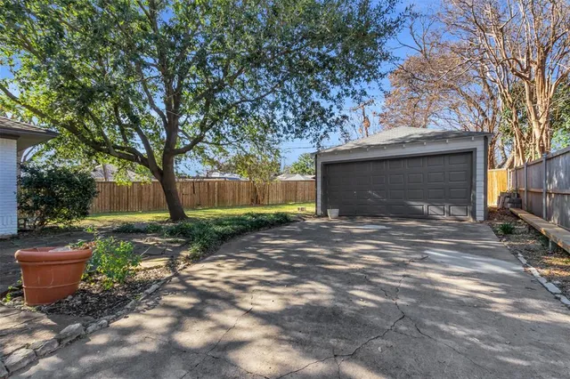a view of a backyard with plants and trees