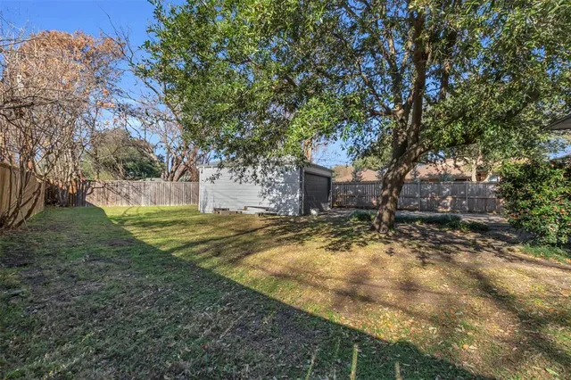 a view of a yard with tree s