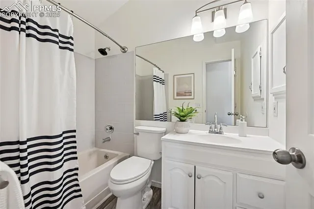 a bathroom with a sink a toilet a mirror a vanity and shower