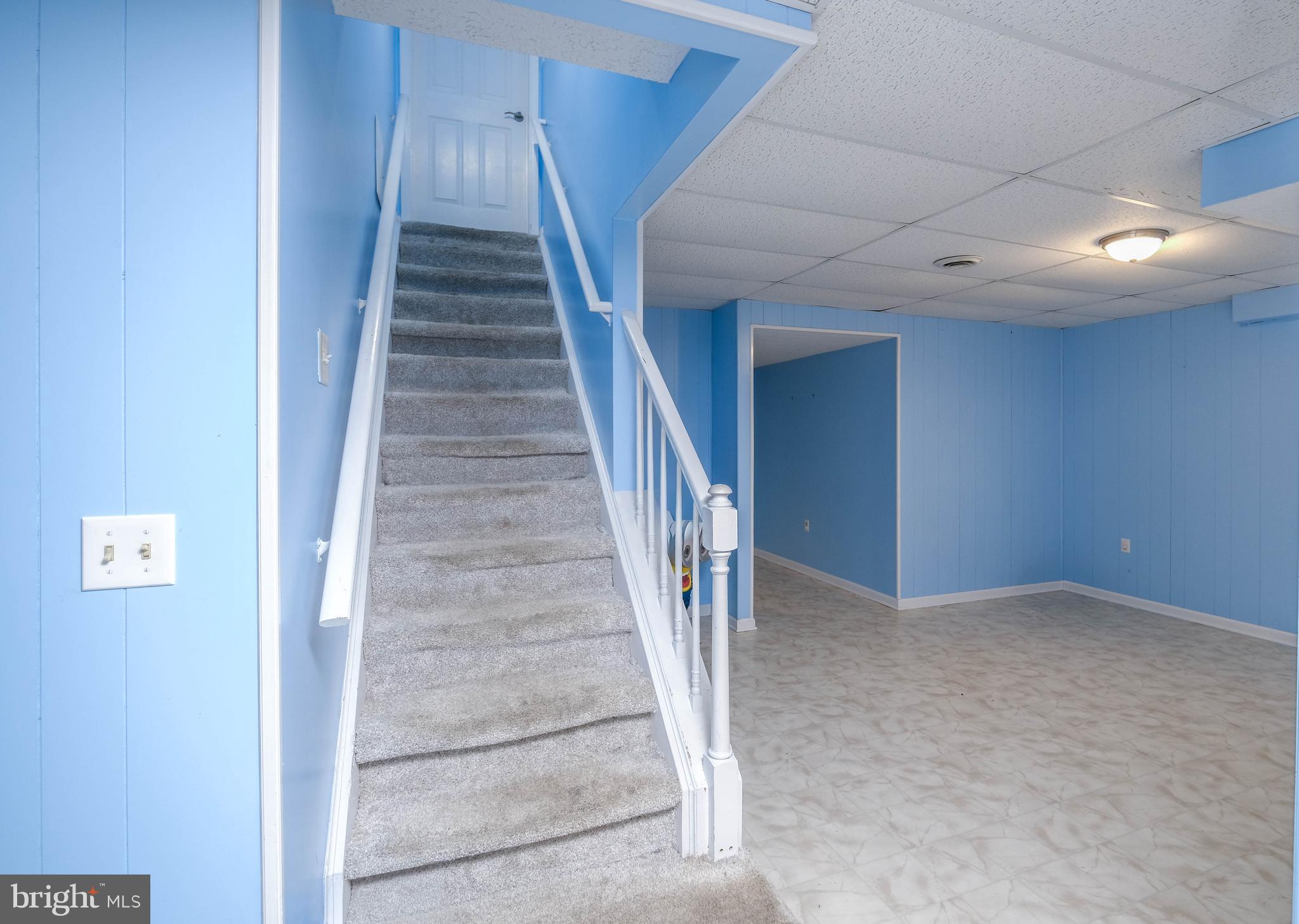 217 Silver Bell Lane Luray, VA 22835 - Photo 46 of 103 Stairs to lower level