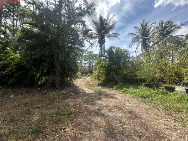 $3,000 | 15550 Orange Boulevard, The Acreage, FL 33470