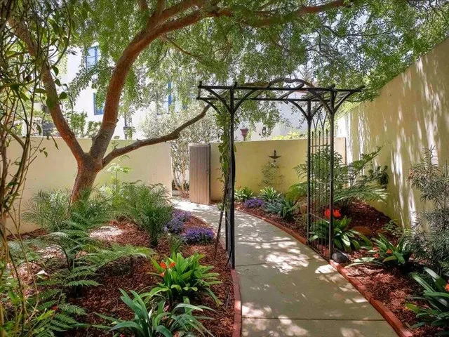 a view of a pathway of a house with a tree