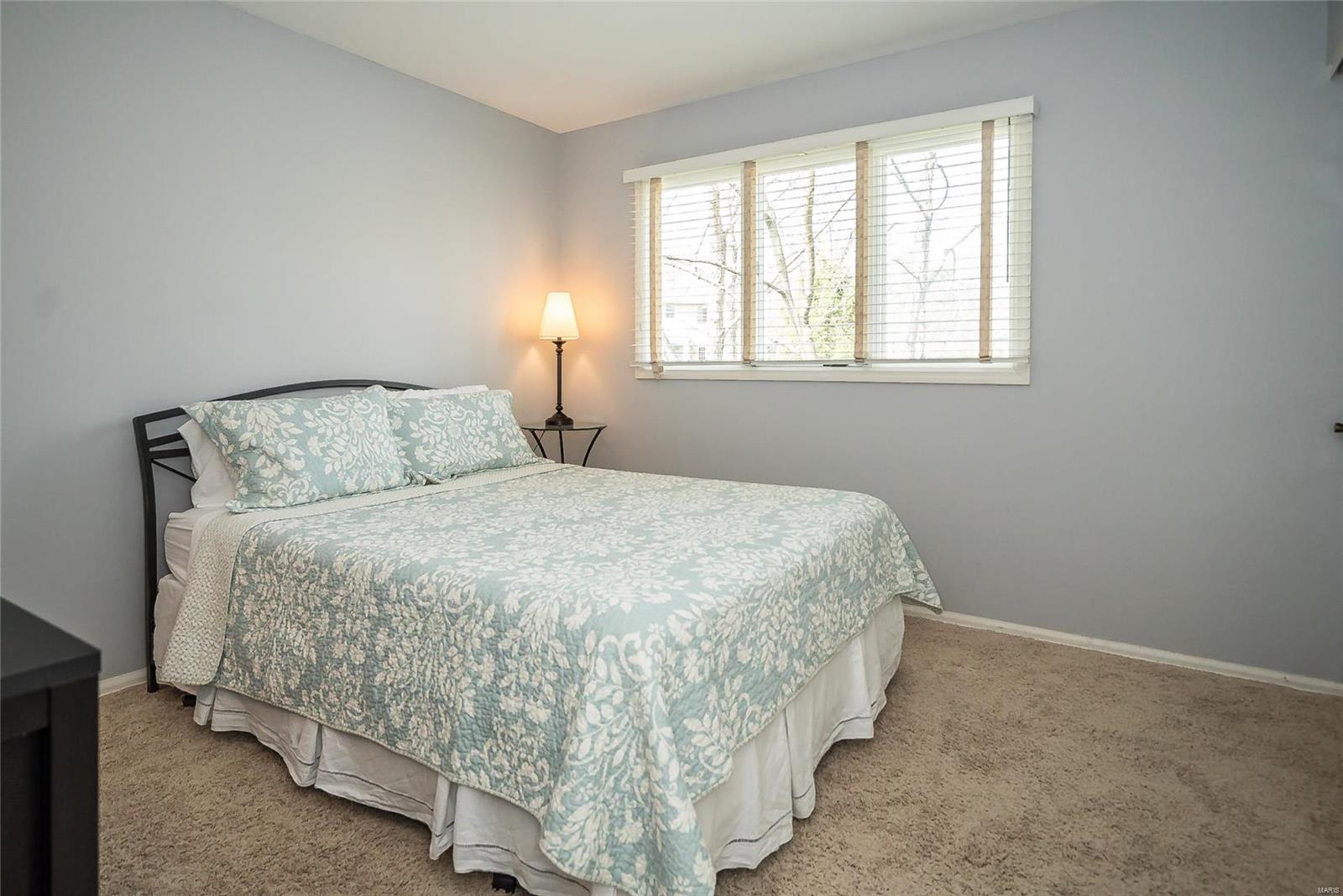 14720 Chermoore Drive Chesterfield, MO 63017 - Photo 22 of 46