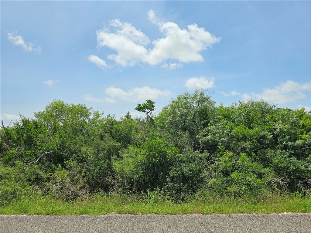 Street view of property