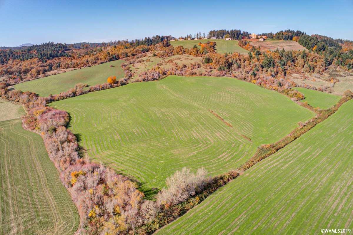 Southwest Pittman (lot 200) Road Sheridan, OR 97378 - Photo 8 of 13