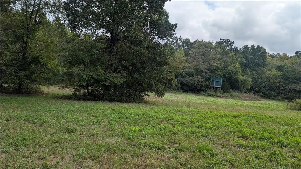 5740 Southeast 731 Road Collins, MO 64738 - Photo 6 of 9 Gallery Image 6