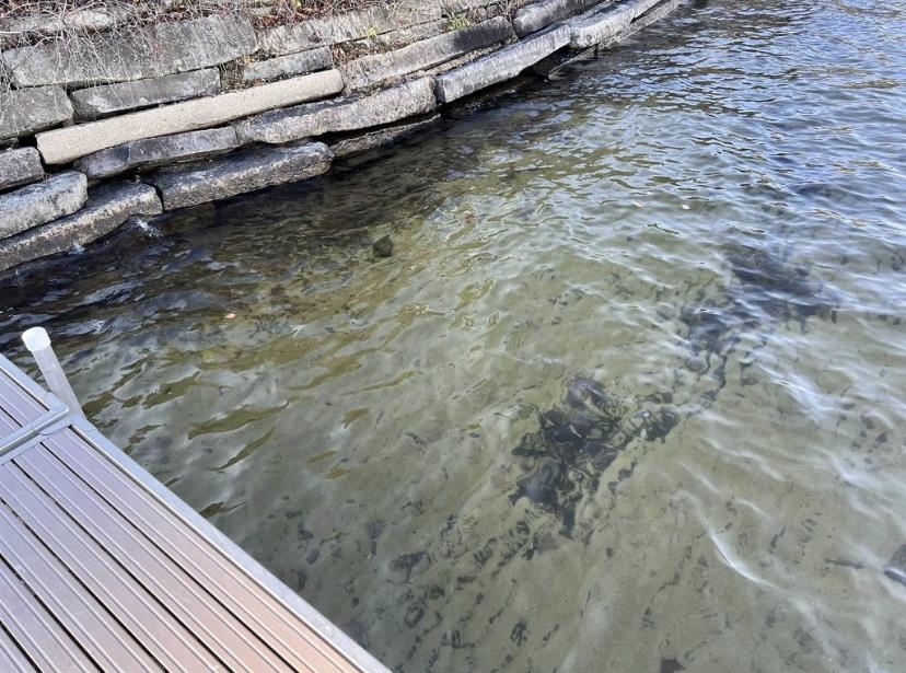 1 Simpson Avenue Laconia, NH 03246 - Photo 33 of 39