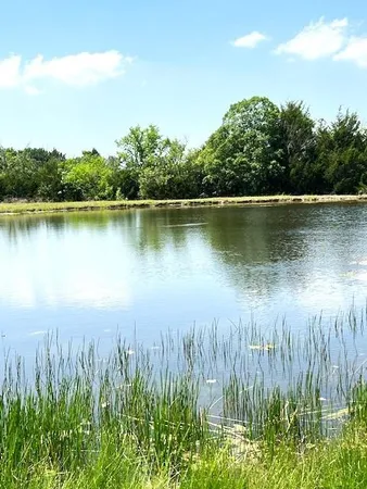 a view of a lake in middle of a forest with a lake view