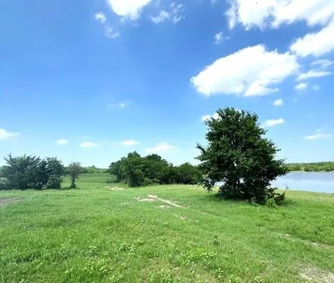 a view of a yard with a tree