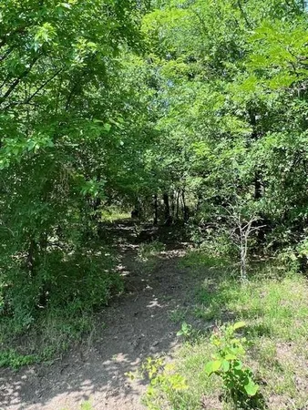 a view of a lake from a yard