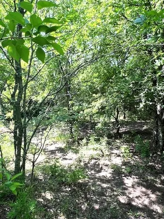 a view of outdoor space with a garden and trees
