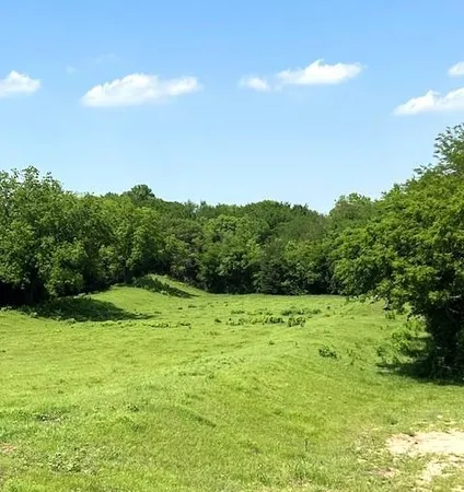 a view of a field with an trees