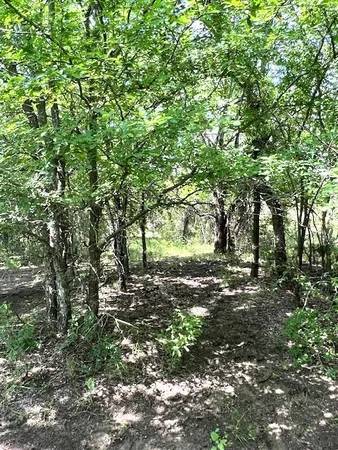 a view of a field with an ocean