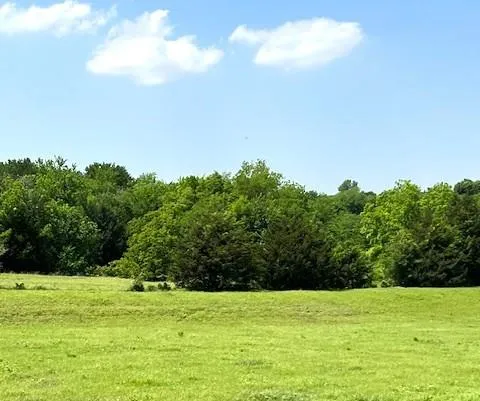 a view of an outdoor space and a yard