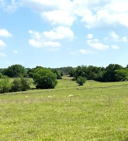 a view of a field with an ocean and trees in the background