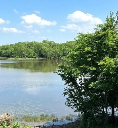 a view of field with grass and trees