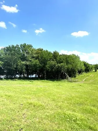 a view of backyard with green space