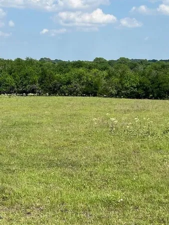 a view of a green field