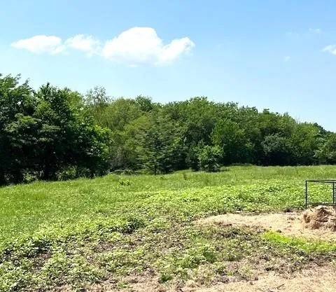 a view of white wall with a yard