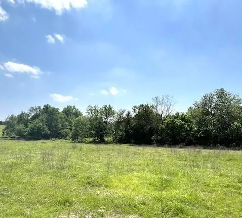 a view of swimming pool from a yard