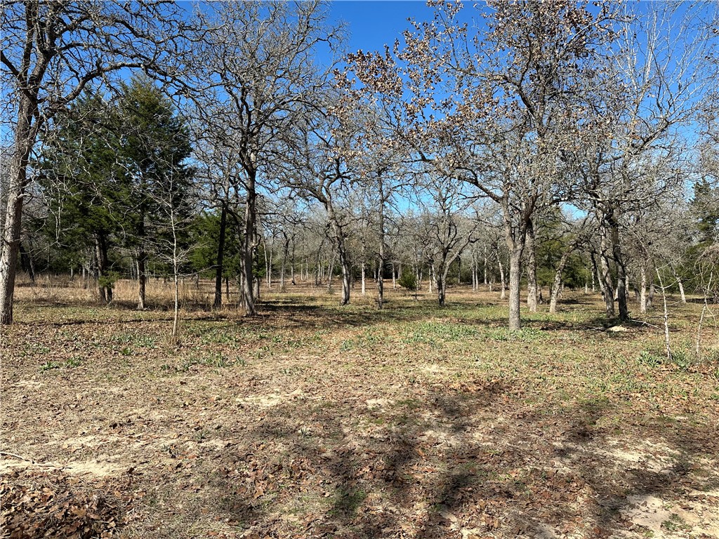 a view of outdoor space with trees