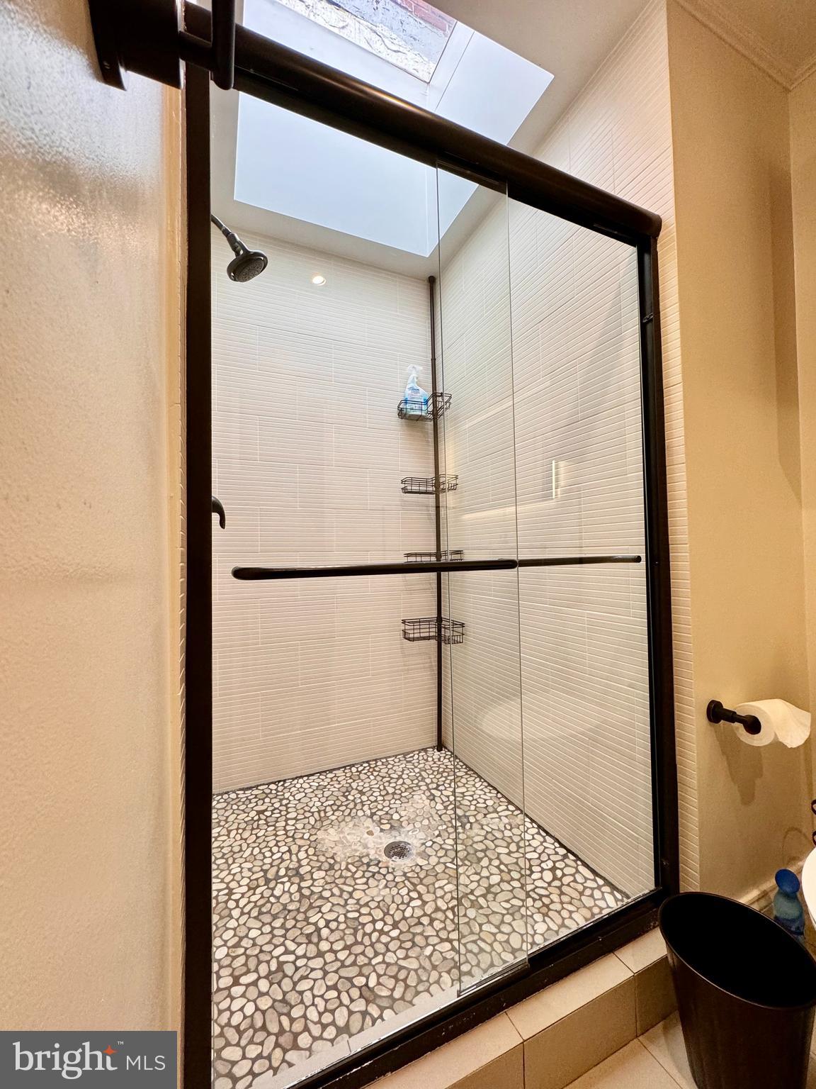 1334 Queen Street Northeast Washington, DC 20002 - Photo 19 of 37 Large walk-in shower w/ skylight