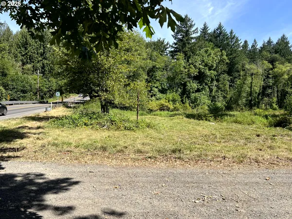 $139,900 | 0 Northeast 221st Avenue, Yacolt, WA 98675