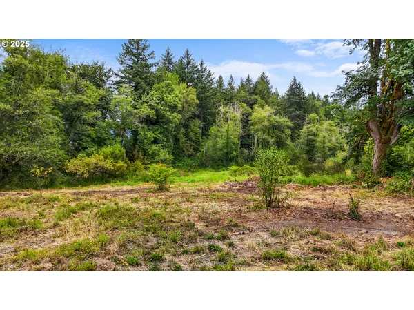 $139,900 | 0 Northeast 221st Avenue, Yacolt, WA 98675