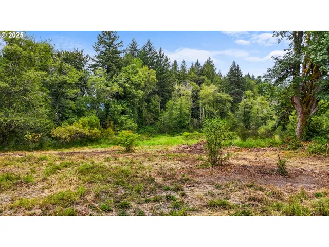 a black and white photo of a house