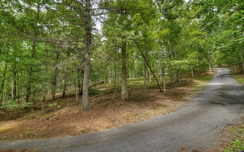 33 Cross Creek Road Mineral Bluff, GA 30559 - Photo 1 of 4 Main View