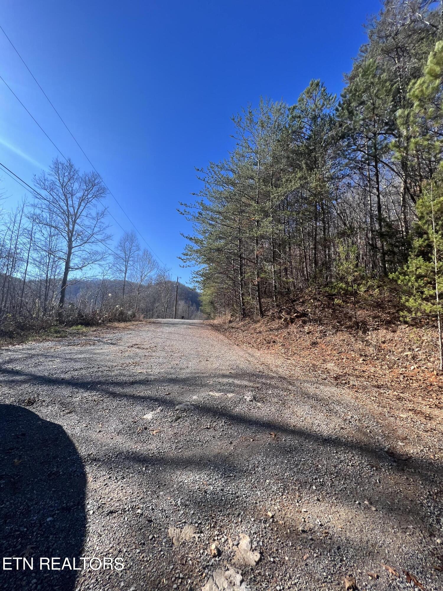 4-lots Jones Ridge Road Speedwell, TN 37870 - Photo 12 of 15 BDA9AB04-D5DC-4EF8-9C2A-C4FF4C08B305