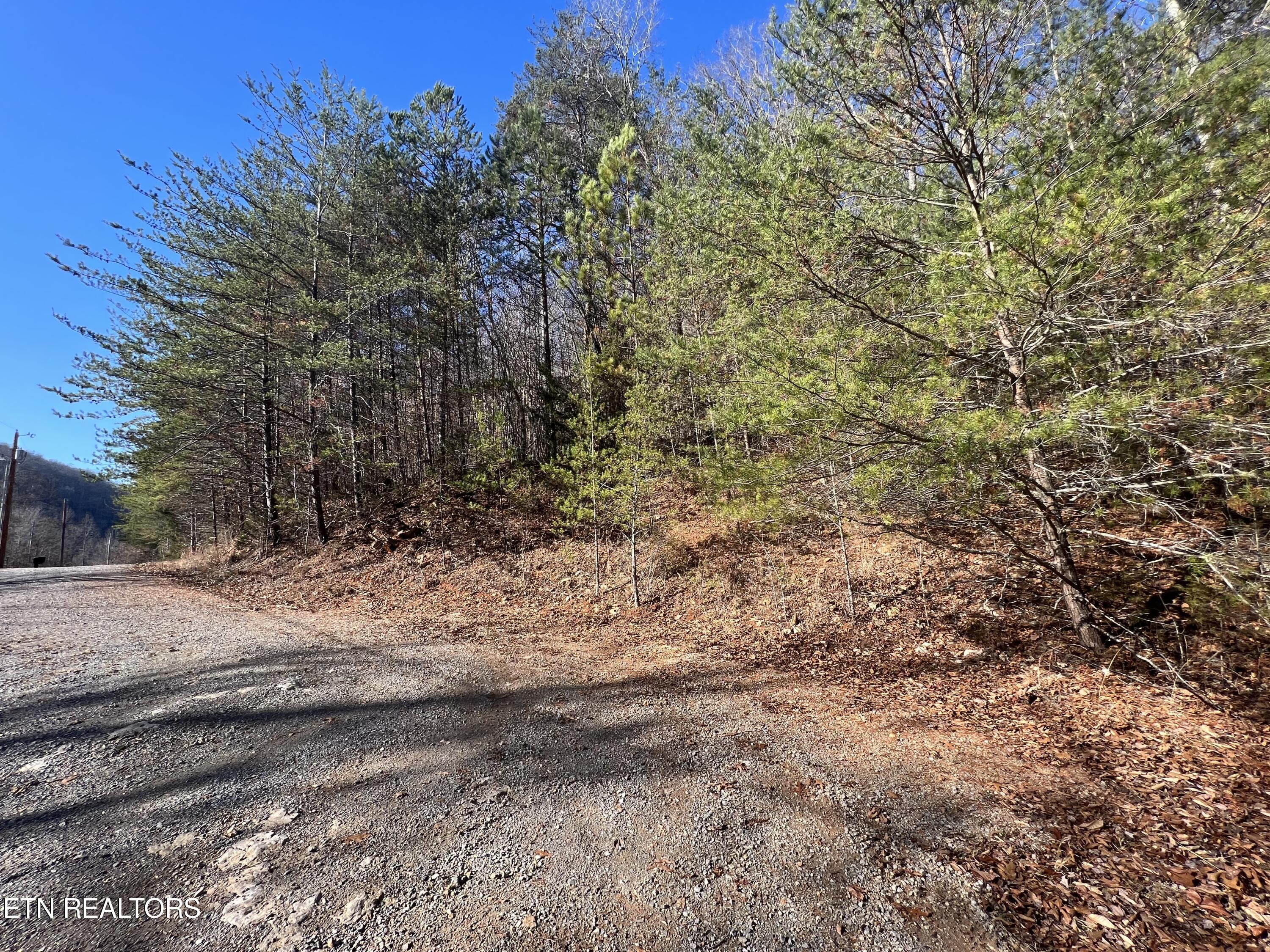 4-lots Jones Ridge Road Speedwell, TN 37870 - Photo 13 of 15 4C01D8F7-EADA-43B9-B8E8-78D9EC7BB74A