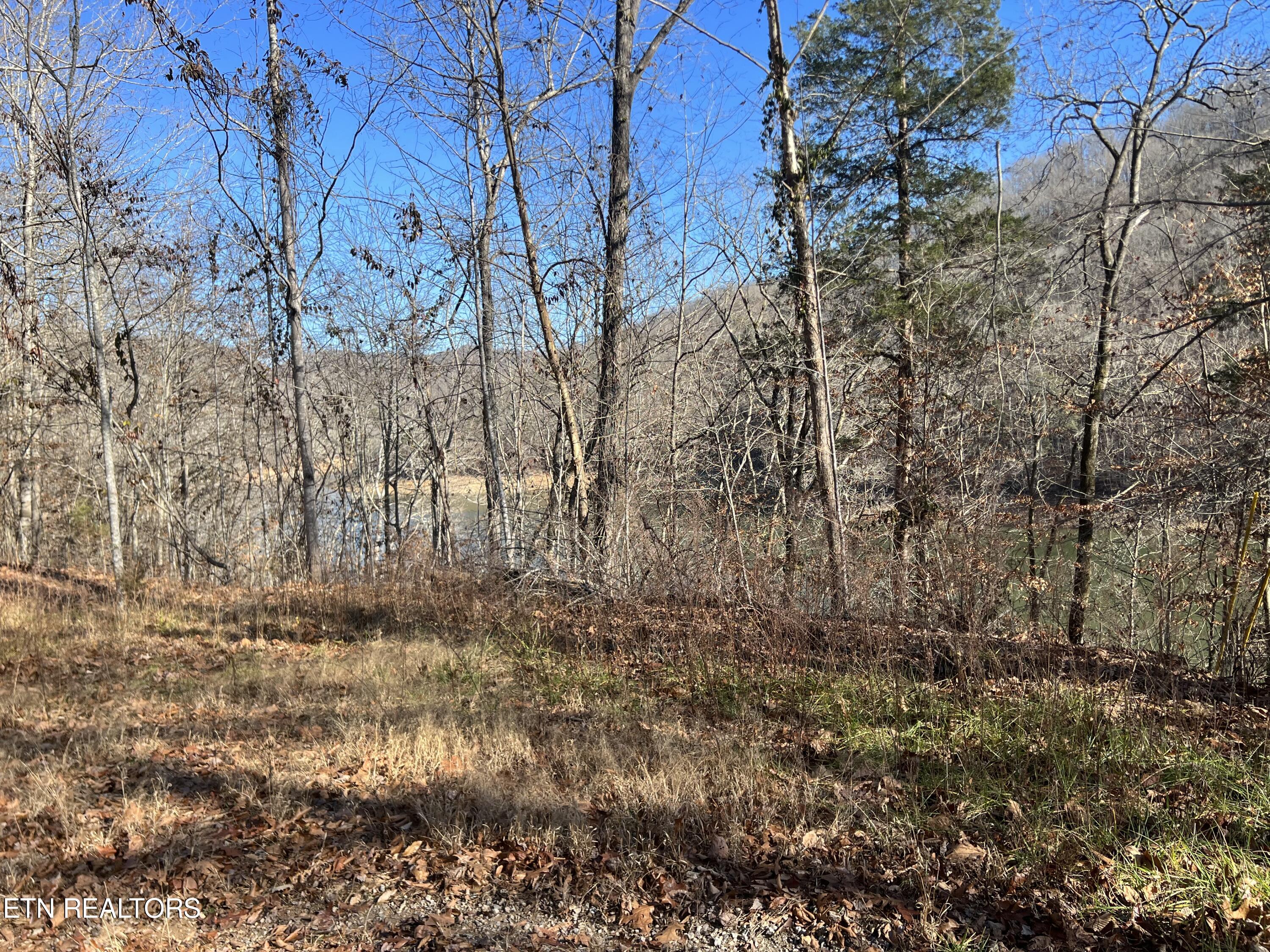 4-lots Jones Ridge Road Speedwell, TN 37870 - Photo 14 of 15 B2BEA7C5-0395-42C1-ACB9-674A1ED97A3D