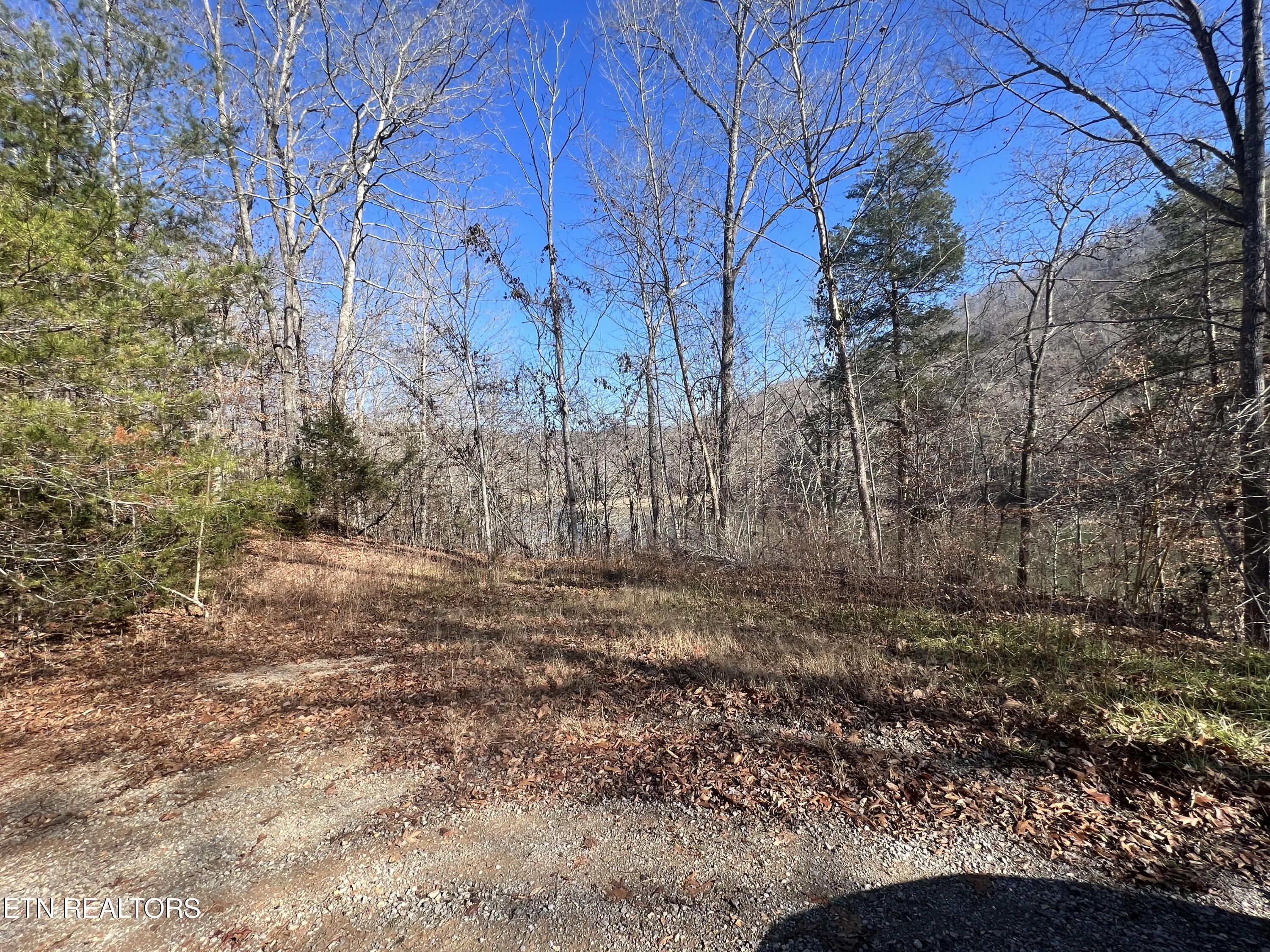 4-lots Jones Ridge Road Speedwell, TN 37870 - Photo 2 of 15 07B1D90D-4256-4EE6-8259-4C96B2898E72